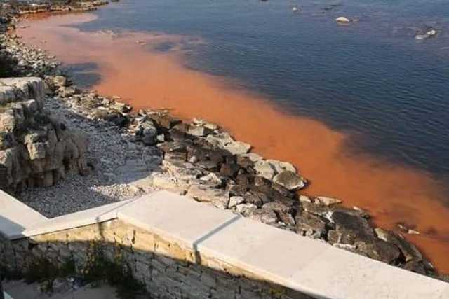 Il mare sta diventando arancione: �Sono alghe e proliferano "grazie" alla quarantena�